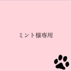 【専用】おくすり屋さんピルケース　チェック　ピンクのサムネイル