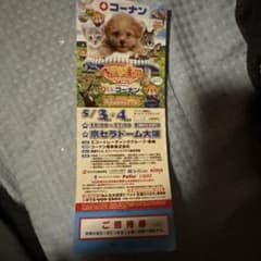 ペット王国 ご招待券 京セラドーム大阪のサムネイル
