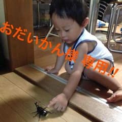 スタジオアリス 撮影料半額券のサムネイル