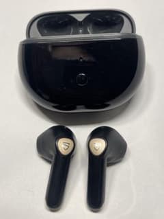 SOUNDPEATS ワイヤレスイヤホン 本体のサムネイル