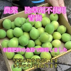 岡山県産　農薬、除草剤不使用　3㎏のサムネイル
