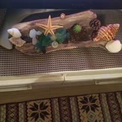 サボテンと流木シーグラスの置物のサムネイル