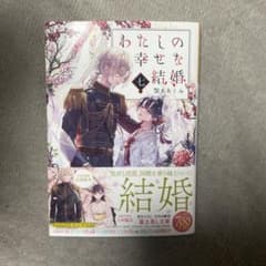 わたしの幸せな結婚 7のサムネイル
