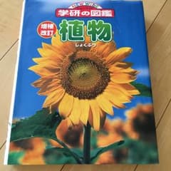 てっと様専用になります植物/真室 哲也, 大場 達之のサムネイル