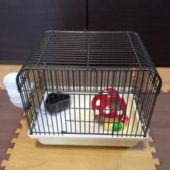 ハムスターミニゲージのサムネイル