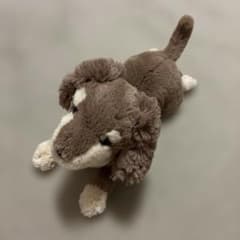 C542】 サンレモン ひざわんこ ミニチュアダックスフンド 希少 - メルカリ