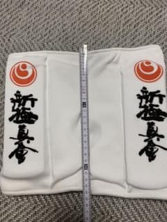 イサミ ローキックサポーターのサムネイル
