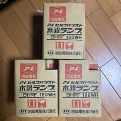 岩崎電気 アイ セルフバラスト水銀ランプ BHRF100/110V160WHのサムネイル