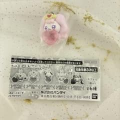 푸치큐아 메지루시 액세서리 파후
