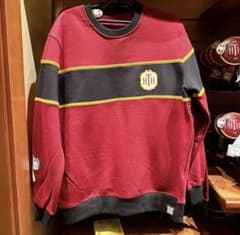 ◇パリディズニー◇タワーオブテラー トレーナー スウェット 裏起毛 