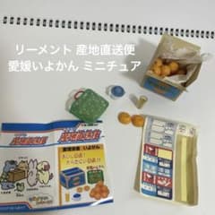 리멘트 산지 직송편 에히메 요칸 미니어처