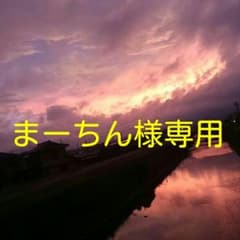 まーちん様専用のサムネイル