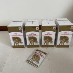 ROYAL CANIN プードル　ウェットタイプ85g 12袋入り4箱セットのサムネイル