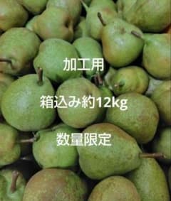 摘果　ラ・フランス　加工用　箱込み約12kgのサムネイル