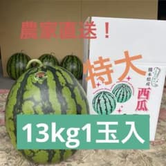 農家直送❗️熊本県産大玉スイカ羅王ザスイート 農家直送❗️熊本県産大玉スイカ羅王ザスイート - メルカリ