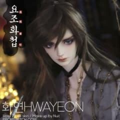 SWITCH HWAYEON ヘッド - メルカリ