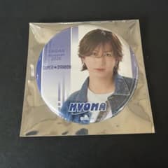 EBiDAN museum 缶バッジ SUPER★DRAGON 池田彪馬のサムネイル