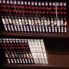 danteさん専用嘘喰い1〜35巻セット  28巻抜けのサムネイル