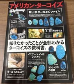 アメリカンターコイズのサムネイル