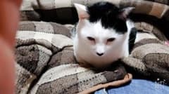 yuu様専用のサムネイル