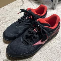 バレーボールシューズ29.5  ミズノ　ロイヤルフェニックス3のサムネイル