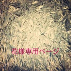 花様専用ページのサムネイル