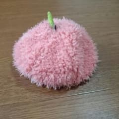 RagMartのベレー帽⭐のサムネイル