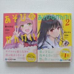 ラノベ ライトノベル まとめ売り 2冊セット あそびのかんけい ファンタジア文庫 KADOKAWA - [ファンタジア文庫] あそびのかんけい2」葵せきな 文学・小説