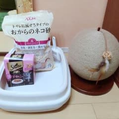 飼い始め猫セット 爪研ぎ 子猫エサ トイレ 猫砂のサムネイル