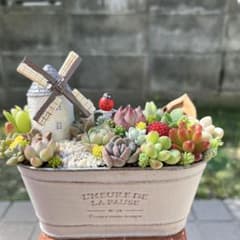 ♡そのまま飾れる♡ヨーロピアンガーデンの箱庭風♬多肉植物寄せ植え