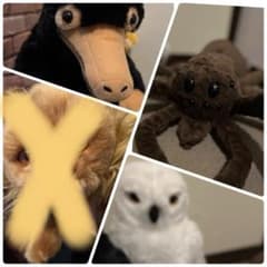 ハリーポッター　ファンタビ　ぬいぐるみ3 点おまとめのサムネイル