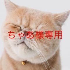 白エナメル、細ベルトのサムネイル
