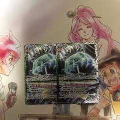 凶虎王の大創界石のサムネイル