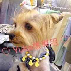 【Yuka様専用】パーフェクトＢＢクリームのサムネイル