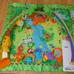 Fisher Price「レインフォレストデラックスジム」のサムネイル