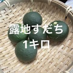 露地すだち 1キロのサムネイル