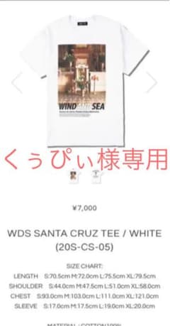 WIND AND SEA  ウィンダンシー  WDS SANTA CRUZのサムネイル
