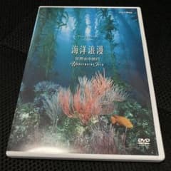 【中古】NHK DVD 海洋浪漫?世界水中旅行? ~Underwater Trip~ NHK DVD 海洋浪漫-世界水中旅行-～Underwater Trip～ - メルカリ