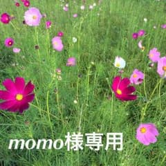 momo様専用のサムネイル