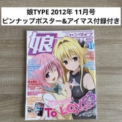 익명 배송! 딸 TYPE 2012년 11월호 냥 타입