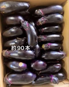農家直売】群馬県産 朝採れ 訳ありナス 約9キロ 90本前後 - メルカリ