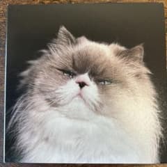 カネコアヤノ　燦々 レコード　激レア 祝祭』『燦々』LP（重量盤）の受注生産限定販売のお知らせ