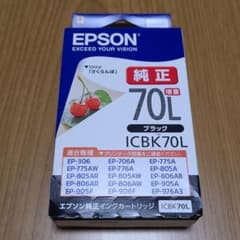 EPSON ICBK70Lのサムネイル