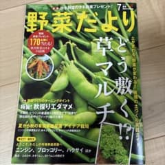 野菜だより 2026年7月号のサムネイル