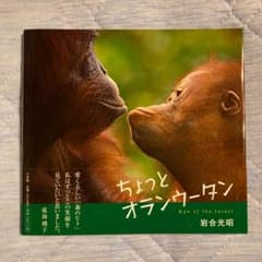 ちょっとオランウータン　帯付のサムネイル