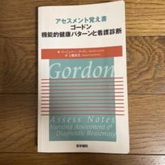 アセスメント覚え書 : ゴードン機能的健康パターンと看護診断のサムネイル