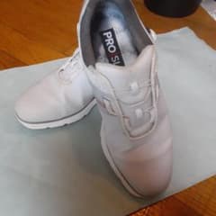 もーさん専用フットジョイ　FootJoy　PRO/SL　26.0のサムネイル