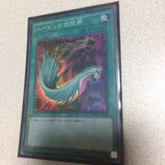 ハーピィの羽根箒のサムネイル