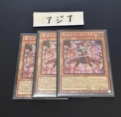 聖王女ローズパメラ　アジアシークレット　3枚　③