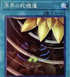 溟界 レプティレス デッキ プレイ用 40枚＋エクストラデッキのサムネイル